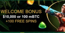 WELCOME BONUS 100%<BR>+ 100 FREE SPINS